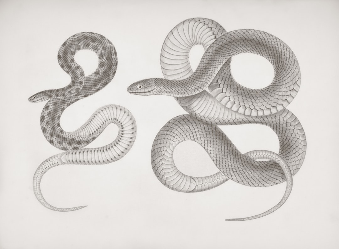 Бизнес-аналитика и BI